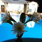 Manos 4*