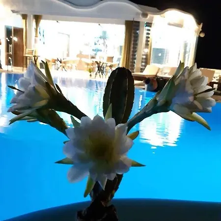 Manos 4*